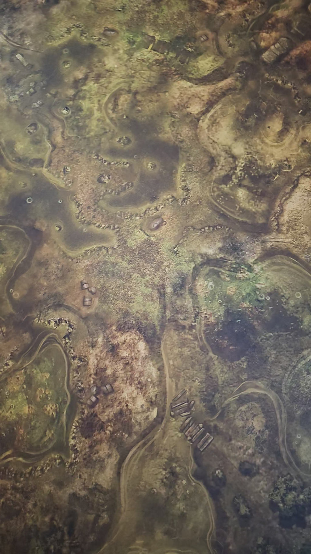 Skirmish Mats Swampland Mat video — dice rolled across the full printed swamp mat, showing terrain detail and print quality.
